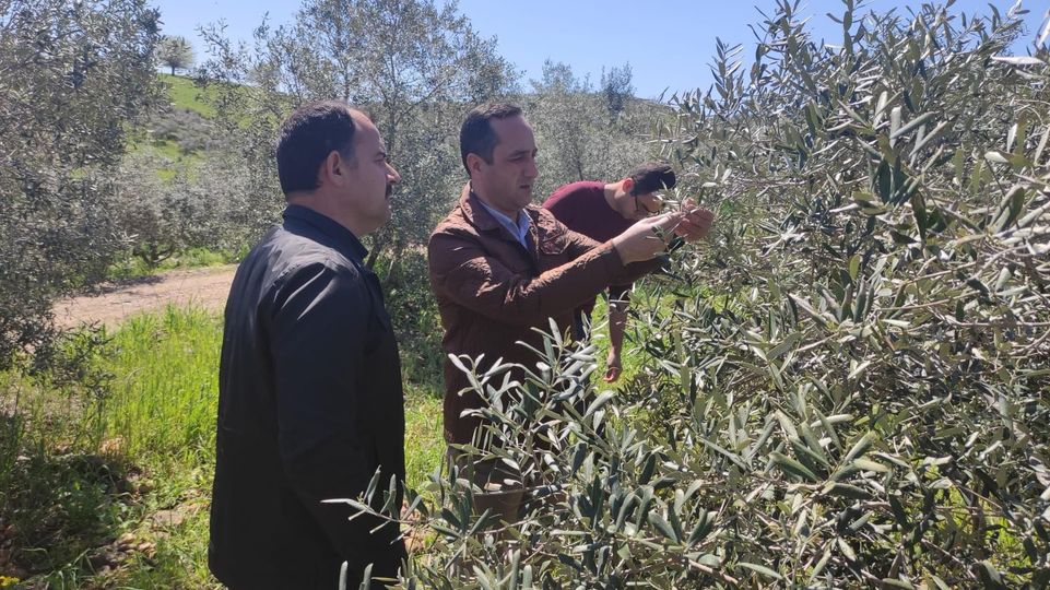 Düziçi İlçe Tarım ve Orman Müdürlüğü 18-28 EKİM TARİHLERİNDE TARIM SEFERBERLİĞİ BAŞLATTI