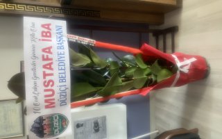 DÜZİÇİ BELEDİYE BAŞKANI MUSTAFA İBA GAZETECİLER GÜNÜNÜ KUTLADI