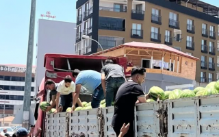 DÜZİÇİ BELEDİYESİ KARPUZ DAĞITIYOR