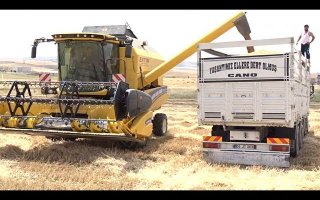 Tarım ve Orman Bakanlığı, 2024 yılı Toprak Mahsulleri Ofisi hububat alım fiyatlarını    açıkladı 